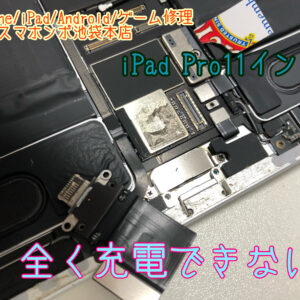 iPad Pro11 1世代 (A1934 A1980 A2013)充電できず立ち上がらない。。朝８時から