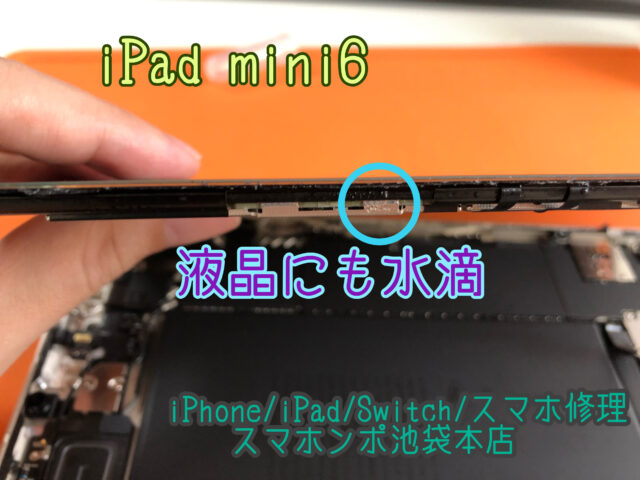 水没】【新品に近い】iPad mini 6 熱 Wi-Fi 256GB パープル