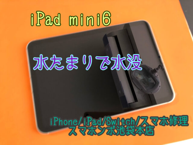 iPad mini 6 ( A2567 A2568 ) 水たまりで水没！？電源が入らなくて 