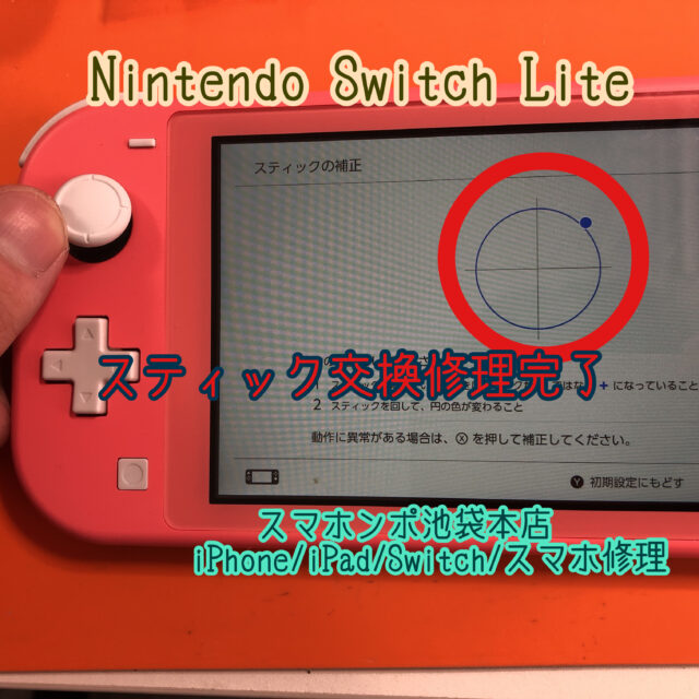 一番のNINTENDO SWITCH LITE サブ機　状態 Nintendo Switch